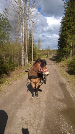 Heka kärry ajelulla