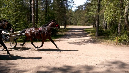 Kirppu radalla harjoittelemassa